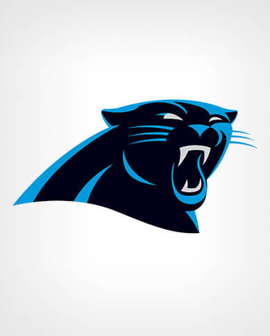 Carolina Panthers Academy Sports + Outdoors digital partnership campaign — creative by Melissa Cadavid